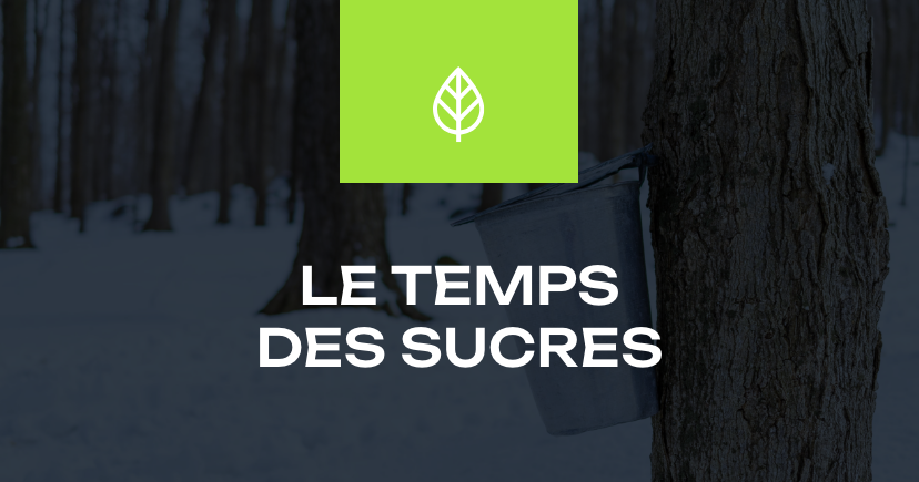 Les temps des sucres